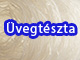 Üvegtészta - Mungóbab tészta